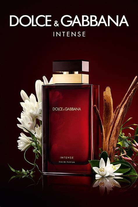 dolce gabbana yeşil parfüm
